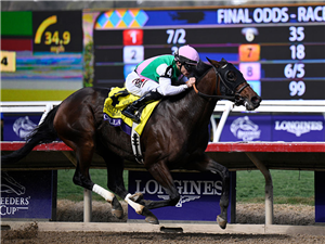 SCYLLA winning the Breeders' Cup Distaff at Del Mar in California.
