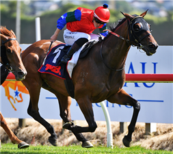 SHARP 'N' SMART winning the SKYCITY HAMILTON WAIKATO CUP