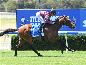 SHINING SMILE winning the Blue Diamond Preview (C&G) at Sandown in Australia.