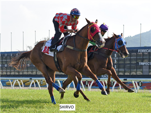SHIRVO