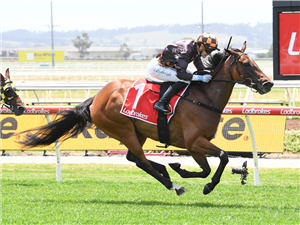SHOCKLETZ winning the Ray White Pakenham & Officer Handicap at Pakenham in Australia.