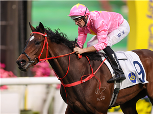 Davis Files: Race Review Of Sha Tin - 6th April 2025 | Sky Racing World ...