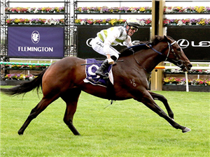 SKYBIRD winning the Black Caviar Lightning