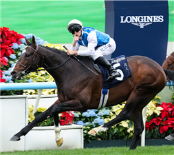 SOSIE winning the Hong Kong Vase at Sha Tin