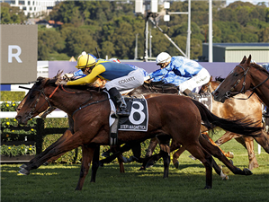 「磁性仙妃」胜出唐卡斯特英里赛