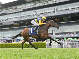 「斯特菲磁力」胜出邀请大赛