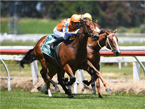 TO BRAVERY BORN winning the WENTWOOD GRANGE 3YO