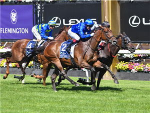 TOM KITTEN winning the All-Star Mile at Flemington in Australia.