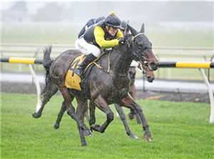 「塔尔萨王」夺冠