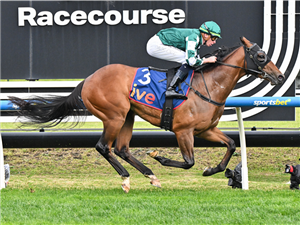 「财主星」夺冠ive > 麦克尼尔锦标赛