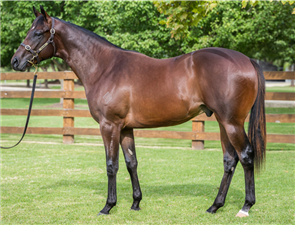 「梵蒂冈」周岁时