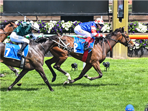 「韦罗纳玫瑰」夺冠英格利斯手镯大赛