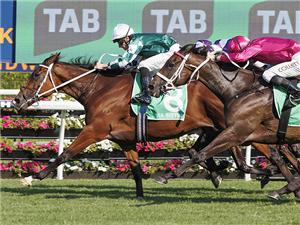 VIA SISTINA winning the TAB VERRY ELLEEGANT STAKES
