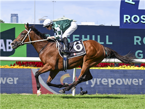 VIA SISTINA winning the RANVET STAKES at Rosehill in Australia.