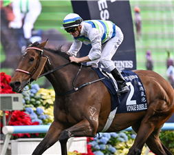 VOYAGE BUBBLE winning the Hong Kong Mile.