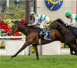 VOYAGE BUBBLE defeating Soul Rush to win the Hong Kong Mile.