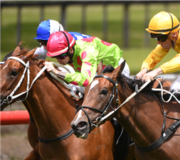 WAR PRINCESS (outside) winning the ARMORY STANDING AT MAPPERLEY STUD 3YO