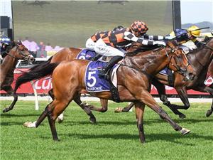 WARNIE winning the Ladbrokes Supernova at Pakenham in Australia.