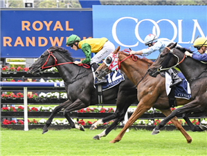 WEEPING WOMAN winning the COOLMORE SPELLING @ MOUNT WHITE RAZOR SHARP at Randwick in Australia.