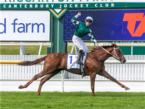 「佳作」 「佳作」