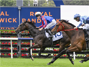 YORKSHIRE winning the THE INGHAM at Randwick in Australia.