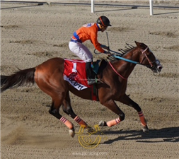 Varatti and Jeff Zarate win the E D Cojuangco Cup