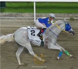 Bea Bell- and J B Hernandez - Marho Breeders Classic