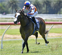 Lara Antipova winning on debut at Te Aroha on Sunday
