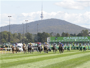 Racecourse: Canberra.