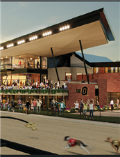 Greyhound Racing at The Q in Queensland