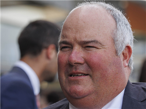 Trainer : BRAD WIDDUP