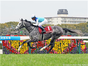 ADMIRE TERRA winning the Hanshin Daishoten at Hanshin in Japan.