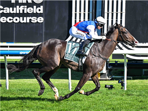 AMBASSADORIAL winning the Tobin Brothers Celebrating Lives Easter Cup at Caulfield in Australia.