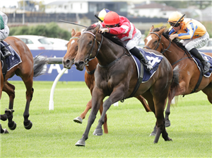 「小情小爱」夺冠