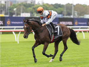 AUTUMN BREAK winning the HKJC WORLD POOL CARBINE CLUB STAKES at Randwick in Australia.