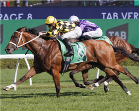 「秋晖」夺冠 「秋晖」夺冠