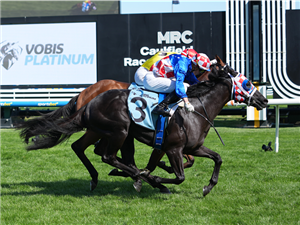 「大人物」夺冠决胜赛