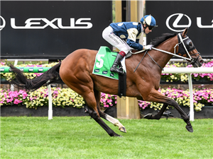 「天鸟侠义」夺冠布莱米锦标赛 「天鸟侠义」夺冠布莱米锦标赛