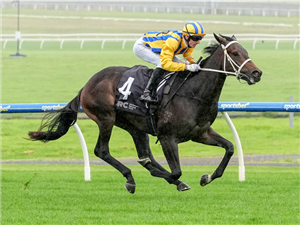 BLIND RAISE winning the Happy 50th to Nick and Jamie Gold at Sportsbet Sandown Lakeside in Australia.