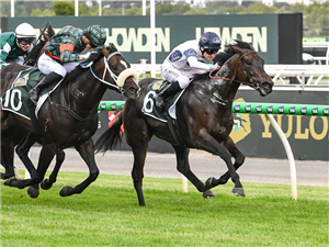 「卡巴鲁斯」夺冠在弗莱明顿赛马场上举办的纽马克特让赛