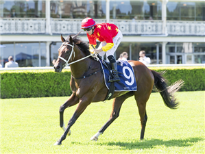 CAMPIONE D'ITALIA winning the CATANACH'S JEWELLERS SKYLINE STAKES at Randwick in Australia.