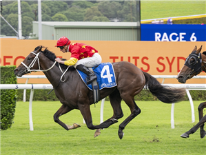CAMPIONE D'ITALIA winning the INGLIS SIRES' at Randwick in Australia.