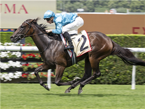 「查延」胜出雷司令锦标赛