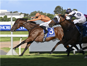 「水晶清澈」胜出阿贾克斯锦标赛