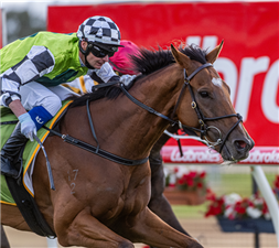 「爸爸和戴夫」夺冠神奇百万塔斯马尼亚坚尼赛