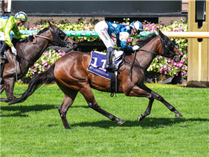 「出口」夺冠在弗莱明顿赛马场上举办的约克盾赛（York Plate）