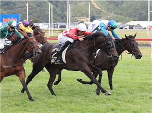 「仙子梦」胜出沙漠黄金锦标赛