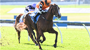 「法式和约」夺冠在桑当赛马场上举办的Sportsbet极速状态盾赛（Sportsbet Fast Form Plate）
