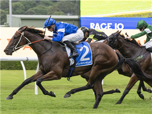 「暴徒奶奶」夺冠在兰德威克赛马场上举办的三级赛韦诺纳女孩质量赛