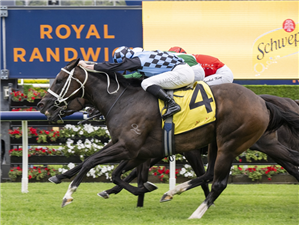 「慷慨」胜出挑战锦标赛